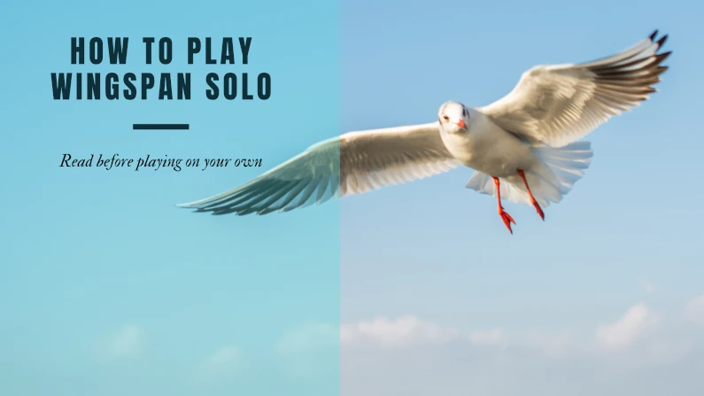How to play Wingspan solo
